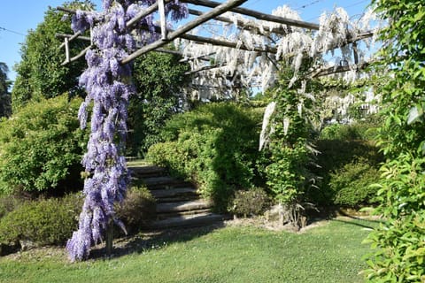 Garden, Garden, Garden view