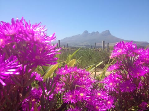 Nearby landmark, Neighbourhood, Natural landscape, Hiking, On site, Mountain view