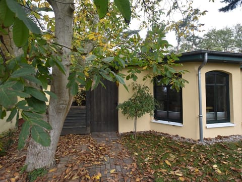 Modern Bungalow in Tessmannsdorf on Coastal Forest House in Rerik