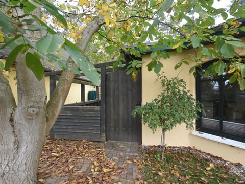 Modern Bungalow in Tessmannsdorf on Coastal Forest House in Rerik