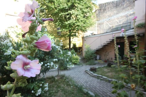 Spring, Day, Garden, Garden view