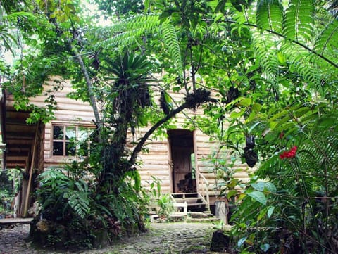 Facade/entrance, Solarium