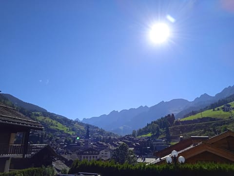 Hotel les Sapins Hotel in La Clusaz