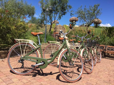 Cycling, Sports, Entertainment