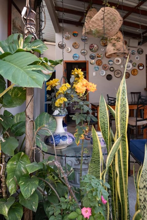 Patio, Balcony/Terrace