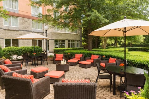 Hilton Garden Inn Atlanta North/Alpharetta Hotel in Alpharetta