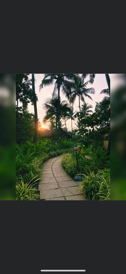 Natural landscape, Garden, Sunset