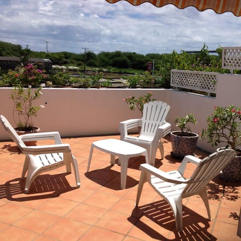 Patio, Balcony/Terrace, Seating area