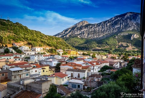 Neighbourhood, Bird's eye view, City view, Mountain view, Street view