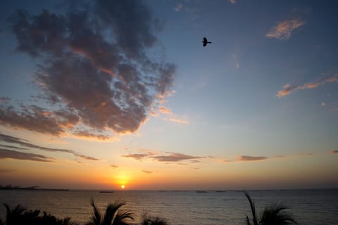 Natural landscape, Beach, Sunset