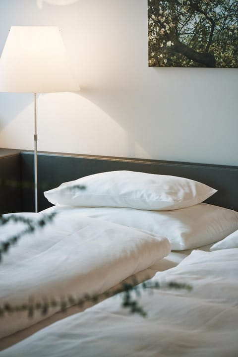 Hotel am See Hotel in Bregenz