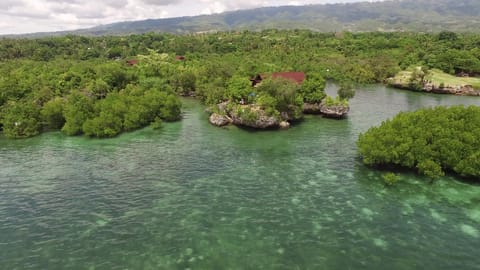 Natural landscape, Bird's eye view