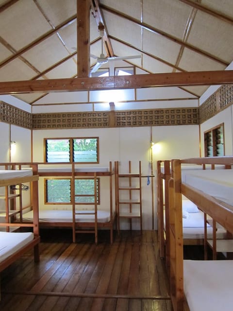 Photo of the whole room, Bedroom, bunk bed