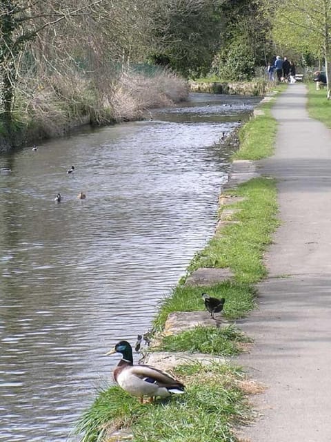 Spring, Day, Natural landscape, Activities