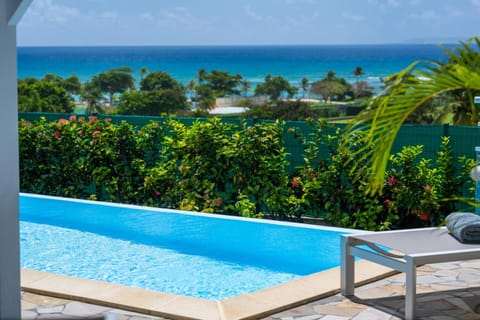 Villa piscine vue exceptionnelle mer et plage Chalet in Guadeloupe