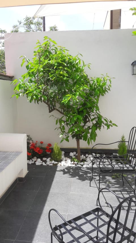 Lemon Tree Bed and Breakfast in Torre Annunziata
