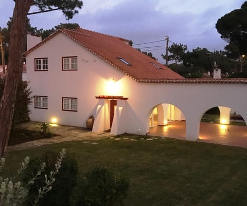 Property building, Night, Garden