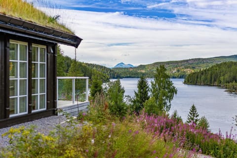 Libehi House in Viken, Norway