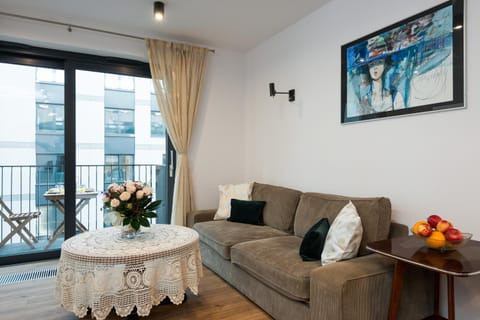 Old Town, Kazimierz, large luxurious, 2 bedroom 2 bathroom, Airco Condo in Krakow