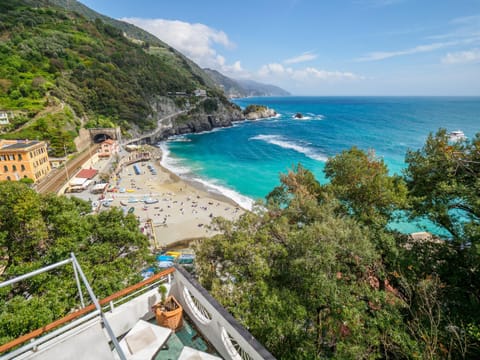 Villa Tanca With AC, Terrace and Views Villa in Monterosso al Mare