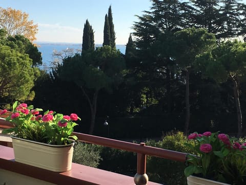 Clorofilla Apartment in Desenzano del Garda