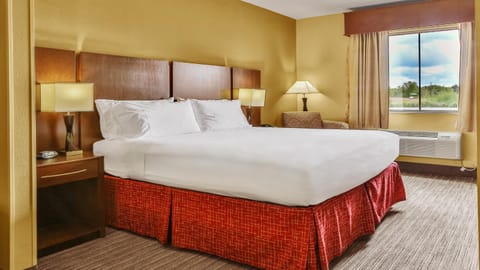 Holiday Inn Express & Suites Houston South - Near Pearland, an IHG Hotel Hotel in Pearland