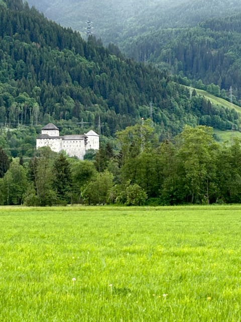 Haus Laubreuter Apartment in Piesendorf