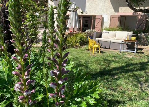 Facade/entrance, Garden, Garden view