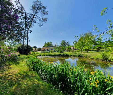 Property building, Natural landscape, Garden, Garden view