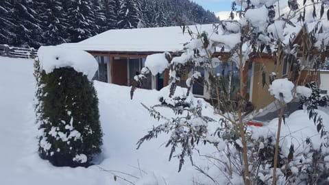 Property building, Winter