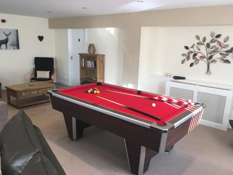 Communal lounge/ TV room, Billiard, Billiard, Game Room, group of guests