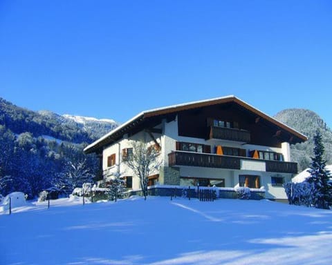 Property building, Winter