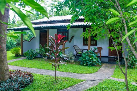 Patio, Facade/entrance, Garden