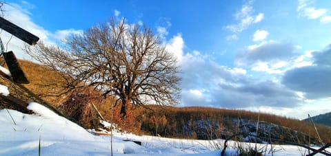 Natural landscape, Winter, Mountain view