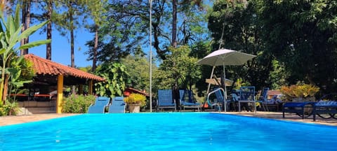 Garden, Swimming pool