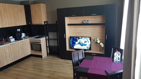 Apartments Mladost 1A Condo in Sofia