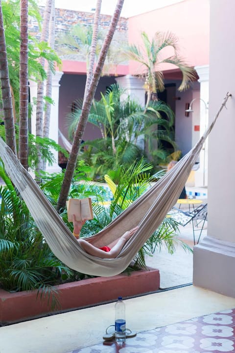 Patio, Garden view