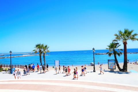 Restaurant/places to eat, Other, Beach, Area and facilities