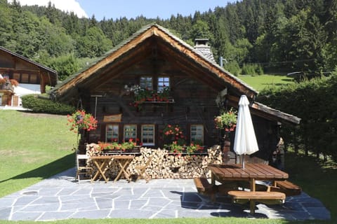 Le P'ti Tzi-Mé Chalet in Ollon