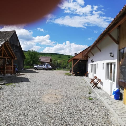 Casa din Barcut Country House in Brașov County