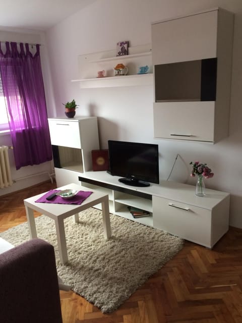 Tami Apartment Apartment in Novi Sad