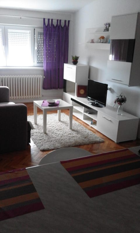 Tami Apartment Apartment in Novi Sad