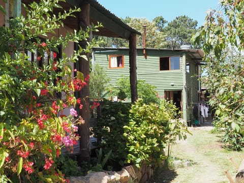 Facade/entrance, Garden