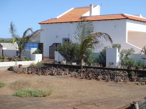 Property building, Garden view