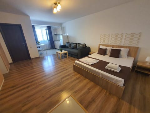 Villa Accommodation Condo in Bucharest