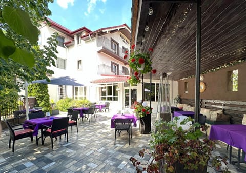 Vila Roca Hotel and SPA Bed and Breakfast in Cluj County