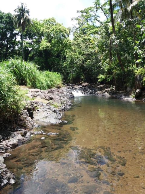 Ti Plèn Kréol House in Guadeloupe