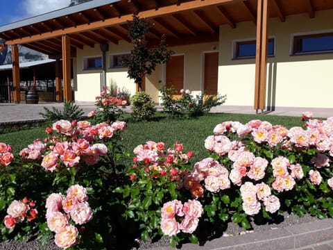 Agriturismo L' Isola di Arturo Farm Stay in Trentino-South Tyrol