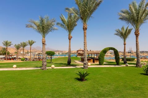 Garden, Sea view