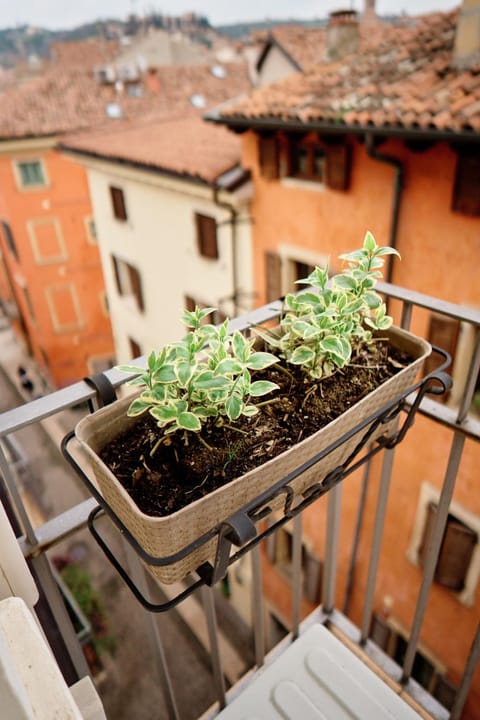 Vista Apartments Verona Apartment in Verona